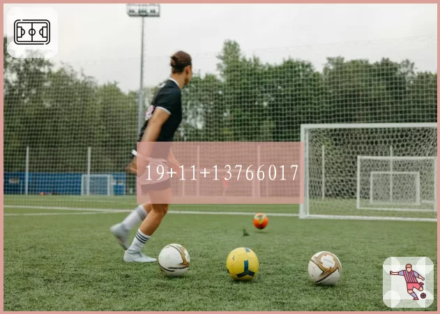 19+11+13766017