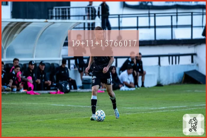 19+11+13766017
