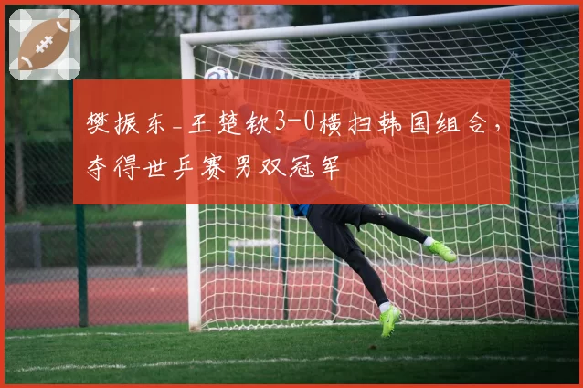 樊振东_王楚钦3-0横扫韩国组合,夺得世乒赛男双冠军